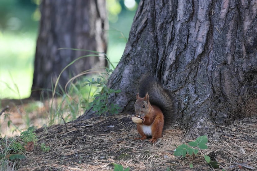 Эргопарк в Клинике Института Мозга